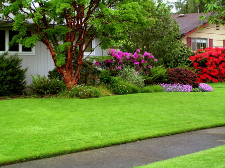 photo of a green lawn